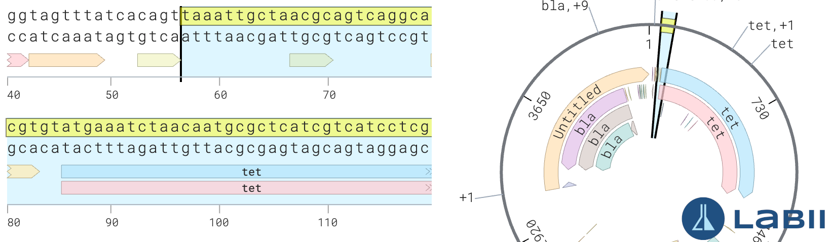 Plasmid Editor search results