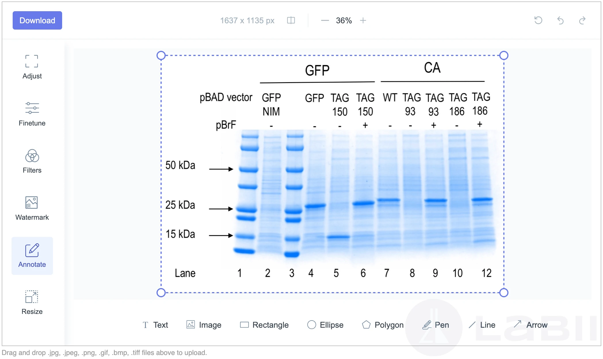 Edit view of Filerobot Image Editor with annotation tools and adjustment panel