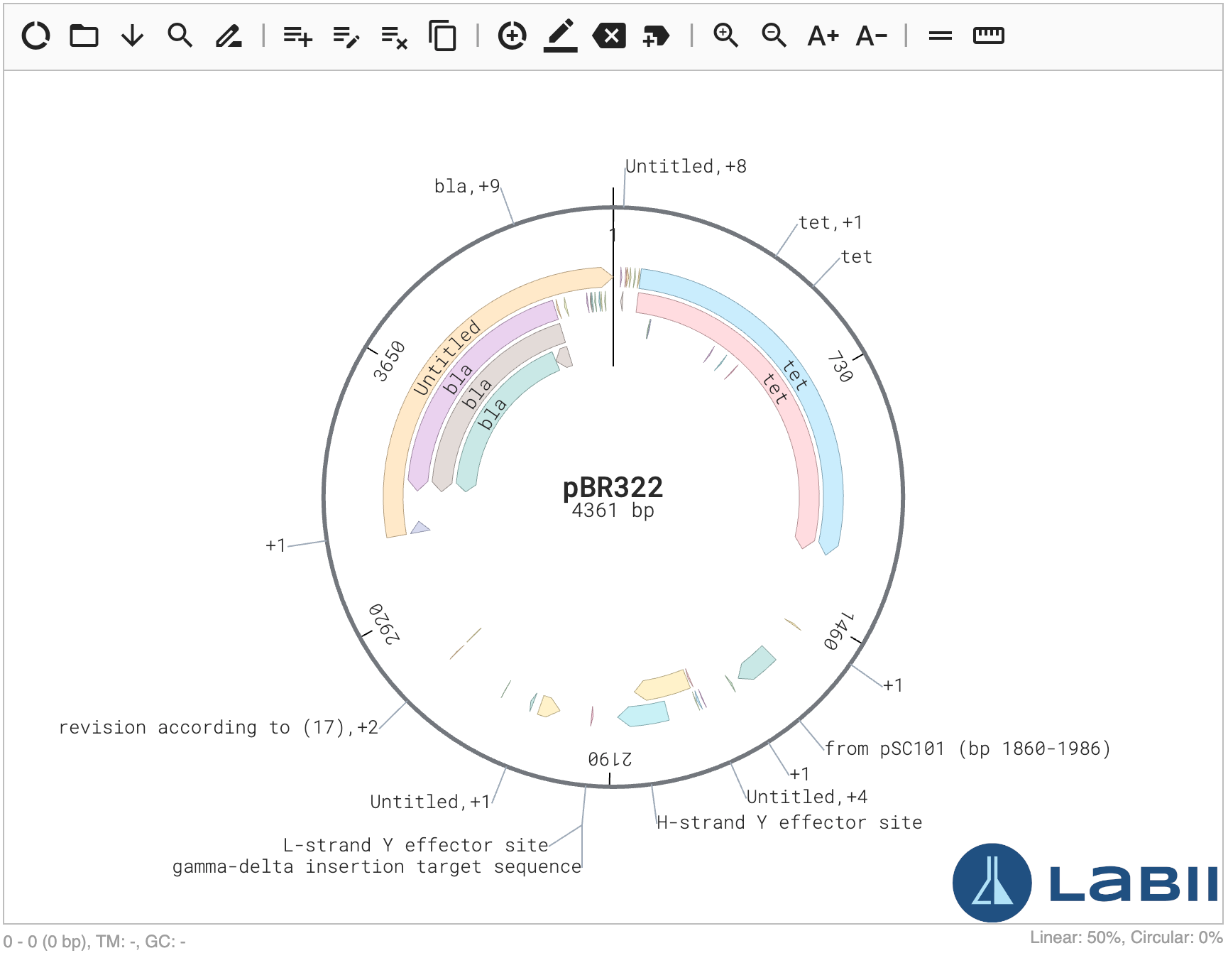 Read-only view of the Plasmid Editor widget